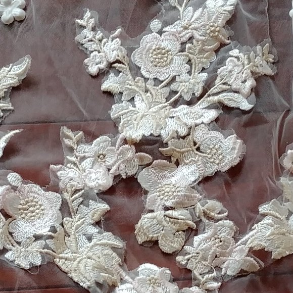 White and subtle pink lace veil trailing 3 meters